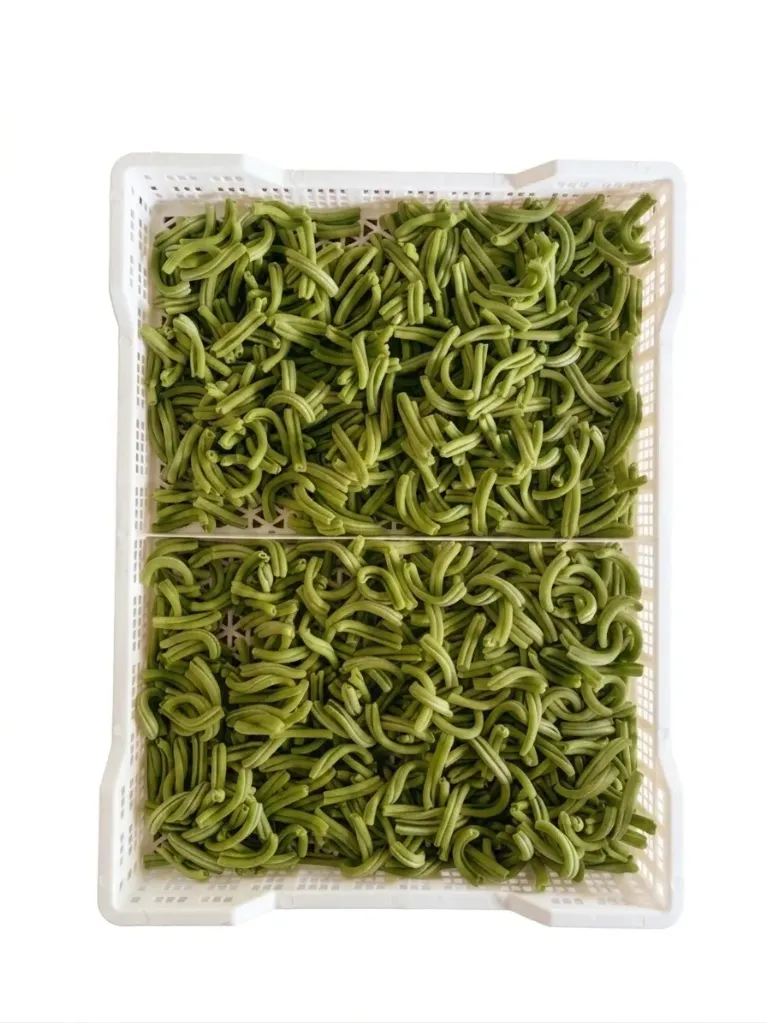Caserecce Spinaci